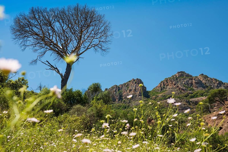 Rocher du roquebrune, Roquebrune-sur-Argens, near Saint-Raphaël, Massif de l'Esterel, Esterel Mountains, Département Var, Cote d'Azur, Provence-Alpes-Côte d'Azur, France