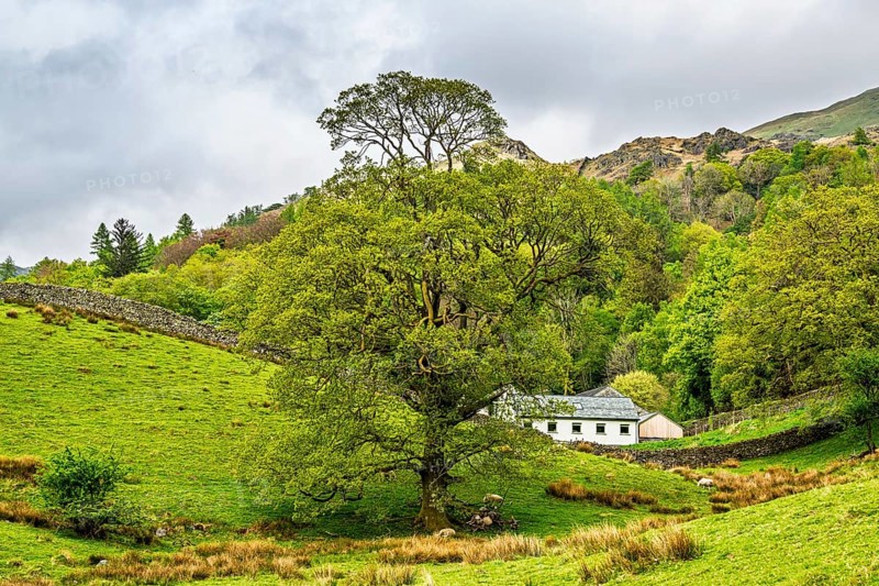 Farms in Lake District National Park, Cumbria, England, United Kingdom