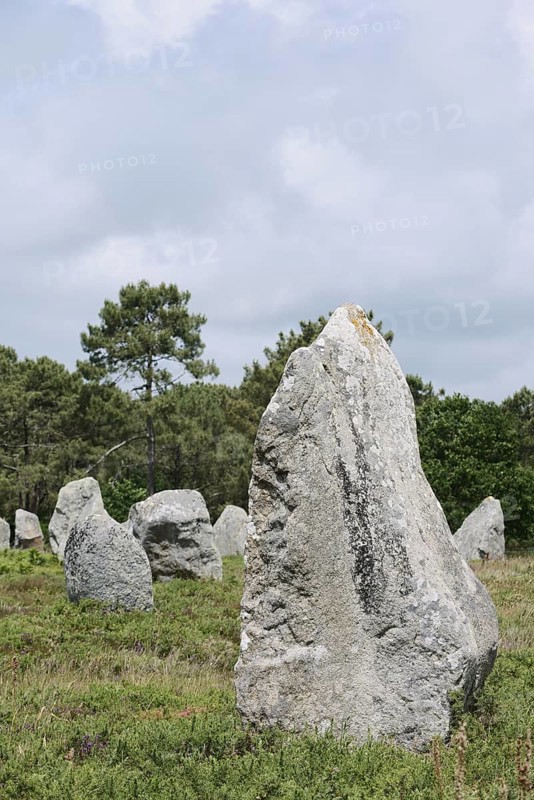 Megalithe, Alignements de Kermario, Carnac, Department of Morbihan, Brittany, France