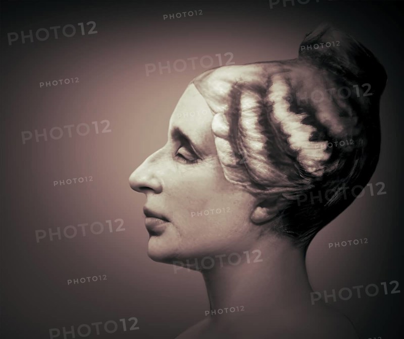 Bust of Marie-Sophie Germain, 1776 –1831, French mathematician, physicist and philosopher, digitally edited