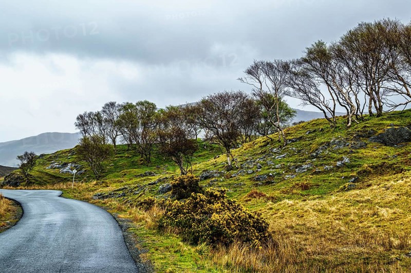 Farms over Loch Slapin, Isle of Skye, Scotland, UK