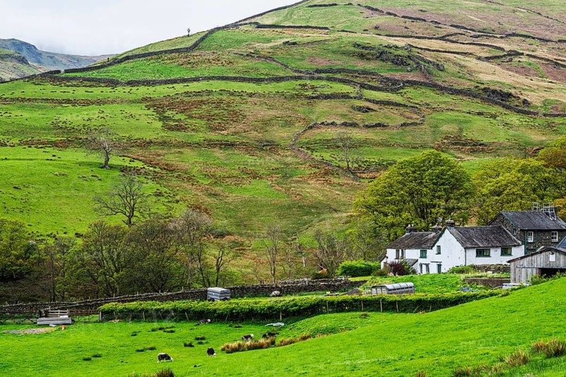 Farms in Lake District National Park, Cumbria, England, United Kingdom