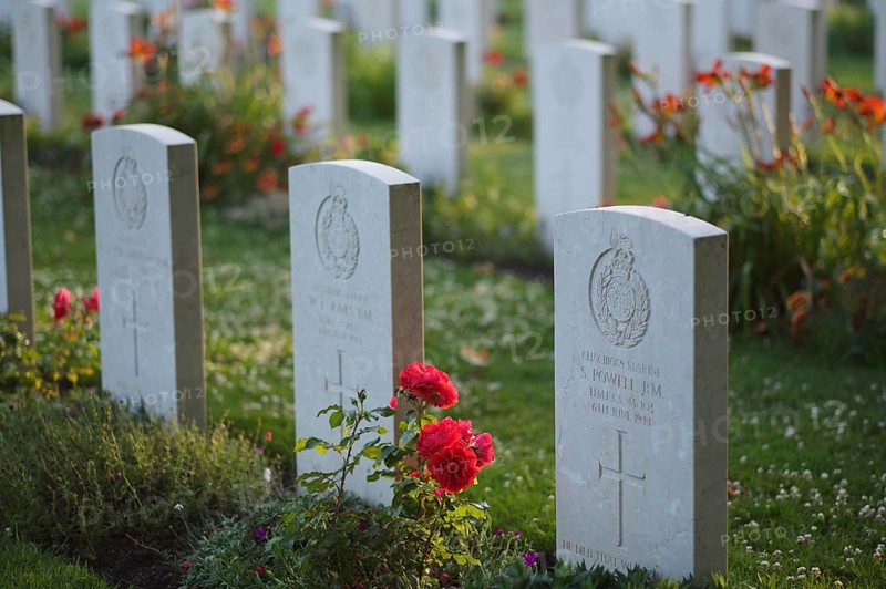 Gravestones, war graves, soldiers' graves, flowers, roses, British and German military cemetery, Cimetière militaire britannique, D-Day, Operation Overlord, Bayeux, Normandy, Calvados, France
