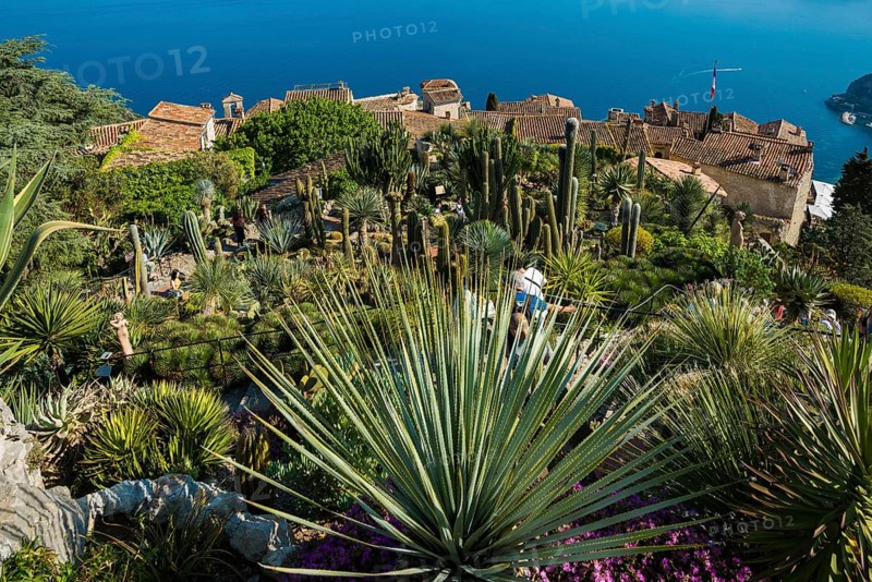 Picturesque mountain village overlooking the sea, Jardin Exotique, Èze, Cote d'Azur, Alpes-Maritimes, Provence-Alpes-Cote-d'Azur, South of France, France