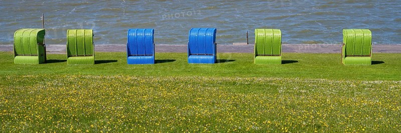 Beach chairs on a blooming meadow on the North Sea coast, Grünstrand, Pellworm Island, North Sea, North Frisia, Schleswig-Holstein, Germany