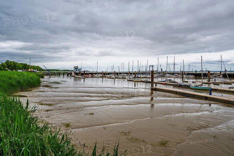 Pauillac, Gironde Estuary, Bordeaux, Gironde, Nouvelle-Aquitaine, France