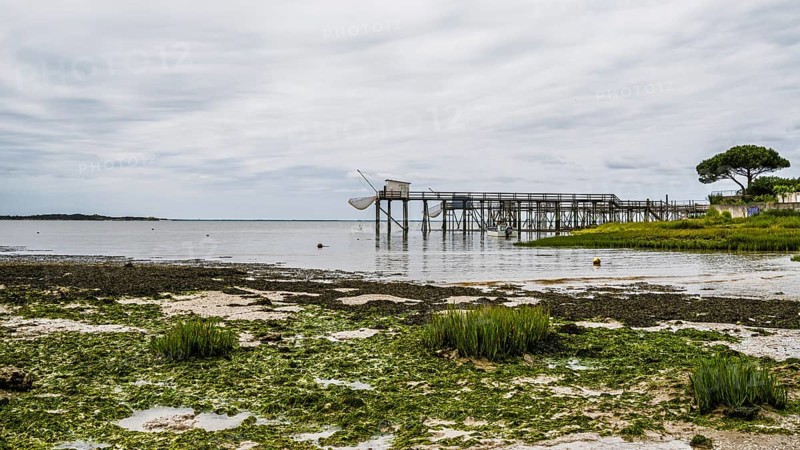 Fishing huts over Randonnee entre Histoire et Nature from a drone, Fouras, Fouras-les-Bains, Charente-Maritime, Nouvelle-Aquitaine, France