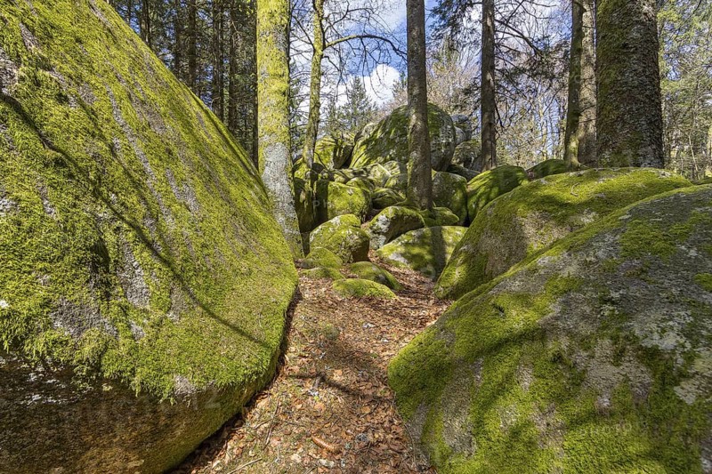 Granite rock Günterfelsen near the source of the Danube, Furtwangen in the Black Forest, Baden-Württemberg, Germany