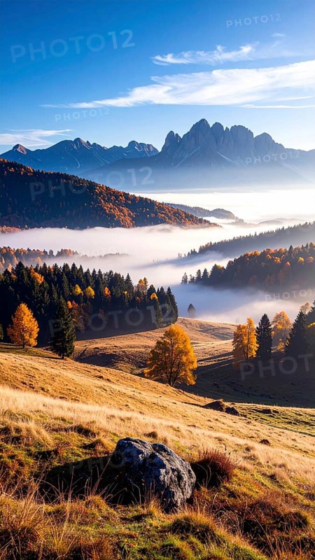 Mystical foggy landscape in autumn, colorful trees in fog, misty mood nature atmosphere, AI generated