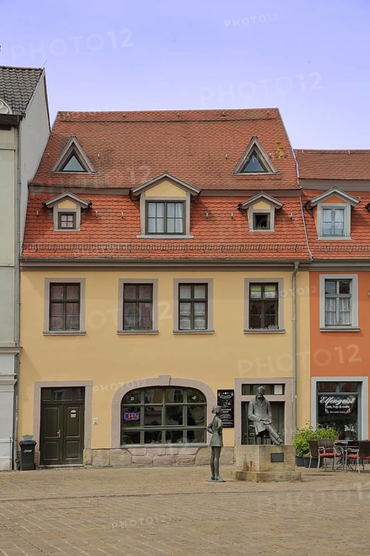 Holzmarkt with house and monument to philosopher Friedrich Nietzsche, Saale, Naumburg, Saxony-Anhalt, Germany