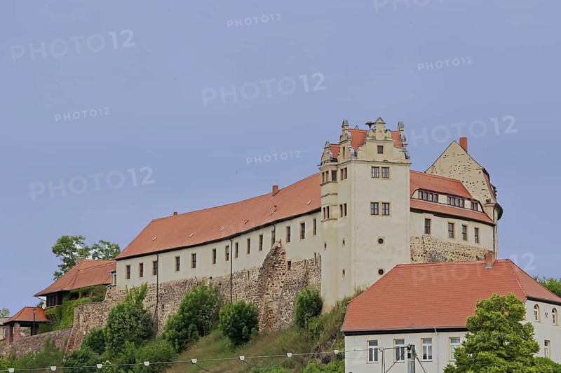 Carolingian ancestral castle Wettiner, castle, castle, Wettin, Wettin-Löbejün, Lower Saale Valley, Saxony-Anhalt, Germany