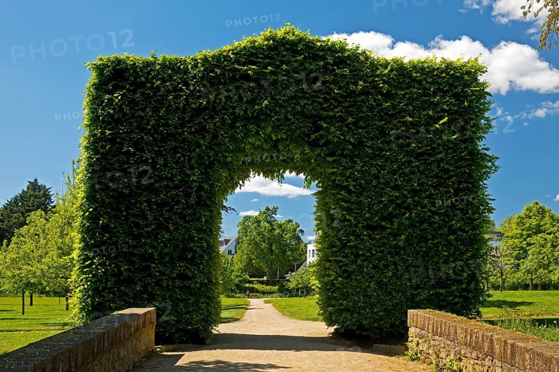 Green Tor Tor in the castle park of Bad Homburg vor der Höhe Castle, Hesse, Germany
