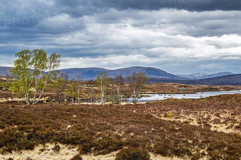 Rannoch Moor over Loch Ba and Loch of the Armpit, A82 Highland Way, Argyll and Bute, West Highlands, Scotland, United Kingdom