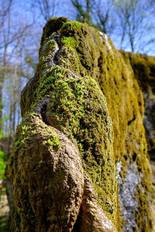 Growing rock, Steinerne Rinne in Usterling, Johannisfelsen natural monument, near Landau an der Isar, Lower Bavaria, Bavaria, Germany