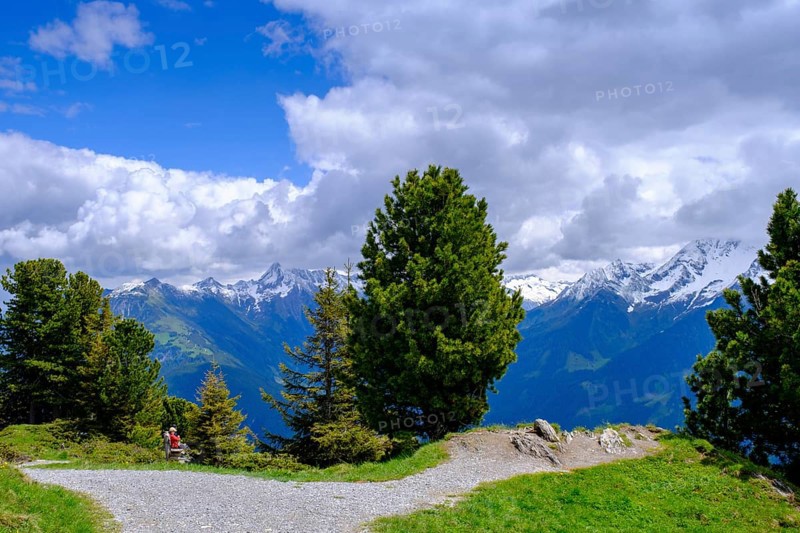 Panorama trail, Penken, Finkenberg, Mayrhofen, Zillertal, Tyrol, Austria