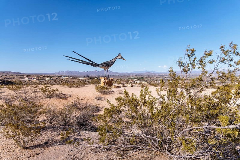 Giant Recycled Roadrunner statue made entirely from discarded materials by artist Olin Calk at an I-10 rest area on the west side of Las Cruces, New Mexico