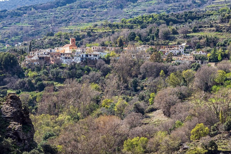 Village Ferreirola, whitewashed village, Alpujarra, Sierra Nevada, Andalusia, Spain