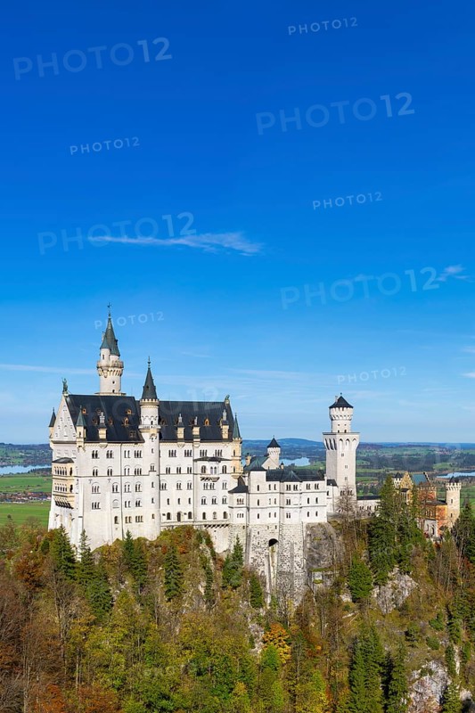 Neuschwanstein Castle towers over a colourful autumn forest under a clear sky, Schwangau, Ostallgäu, Allgäu, Swabia, Upper Bavaria, Bavaria, Germany