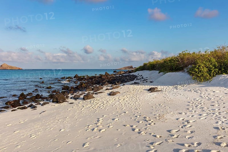 Gardner Bay beach, Isla Española, Galapagos, Ecuador
