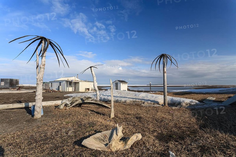 Palm trees made of whale skin, art, Inuit, Point Barrow, Barrow, Alaska, USA