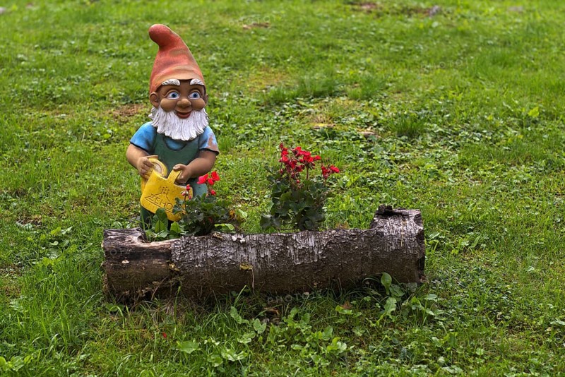 Garden gnome with watering can, Streitweider Alm, Taser Höhenweg, Schenna, Scena, South Tyrol, Autonomous Province of Bolzano, Italy