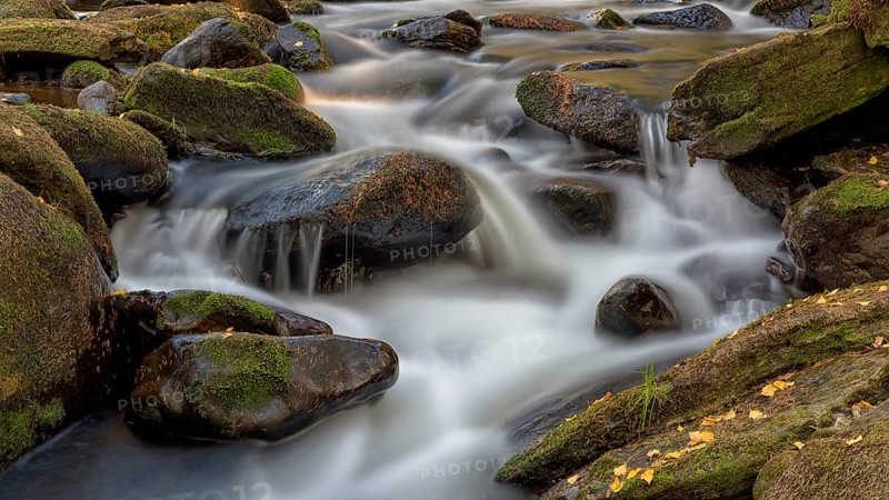 River Vydra, moss covered stones, Sumava National Park, Bohemia, Czech Republic