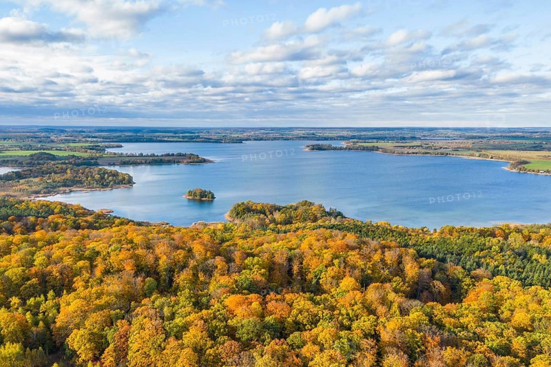 Aerial view, drone photo: Parsteiner See, also Parsteinsee, with surrounding forest in yellow and red autumn colours, Barnim and Uckermark, Brandenburg, Germany