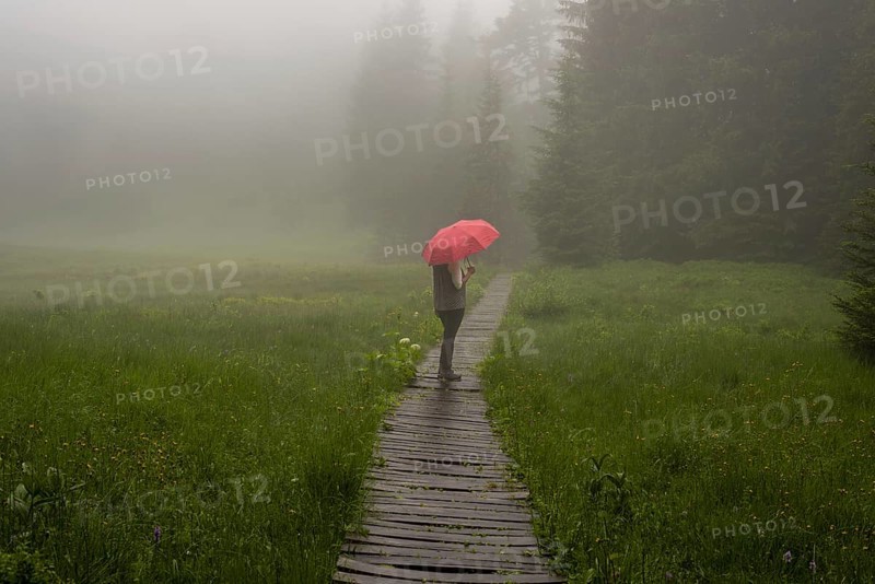 Woman 60-65 with umbrella in the Hühnermoos on a cloudy day with fog, a high moor at the Söllereck near Oberstdorf, Allgäu Alps, Allgäu, Bavaria, Germany