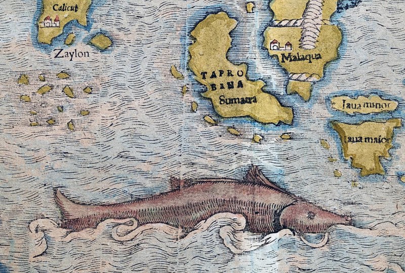 South India, Sumatra, Malaysia, sea monster, detail, hand-coloured woodcut map from Sebastian Münster Cosmographey oder Beschreibung aller Länder, Basel 1578