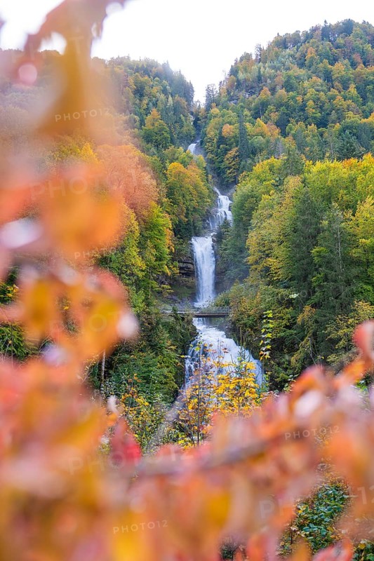 Large waterfall in an autumnal forest with colourful leaves in the foreground, Grandhotel Giessbach, Lake Brienz, Switzerland
