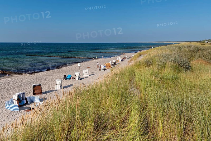 Hohes Ufer, Ahrenshoop, Fisch-Darß-Zingst peninsula, Mecklenburg-Western Pomerania, Germany, Ahrenshoop, Mecklenburg-Western Pomerania, Germany