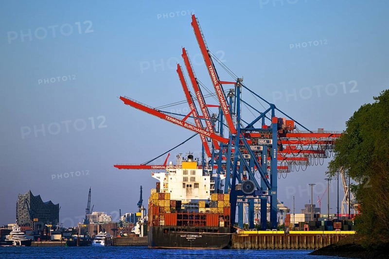 Container ship MSC Cornelia at the Burchardkai container terminal with the Elbphilharmonie concert hall in the background, Port of Hamburg, Germany