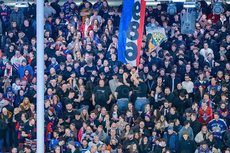 Cheering spectators in a stadium with flags held high, Heilbronner Falken Vs Bietigheimer Steelers, Heilbronn, Germany