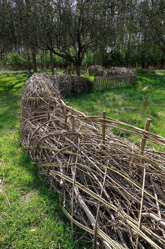 Benjes hedge, garden, Anne Hathaway's Cottage, Shottery, Stratford-upon-Avon, Warwickshire, England, United Kingdom