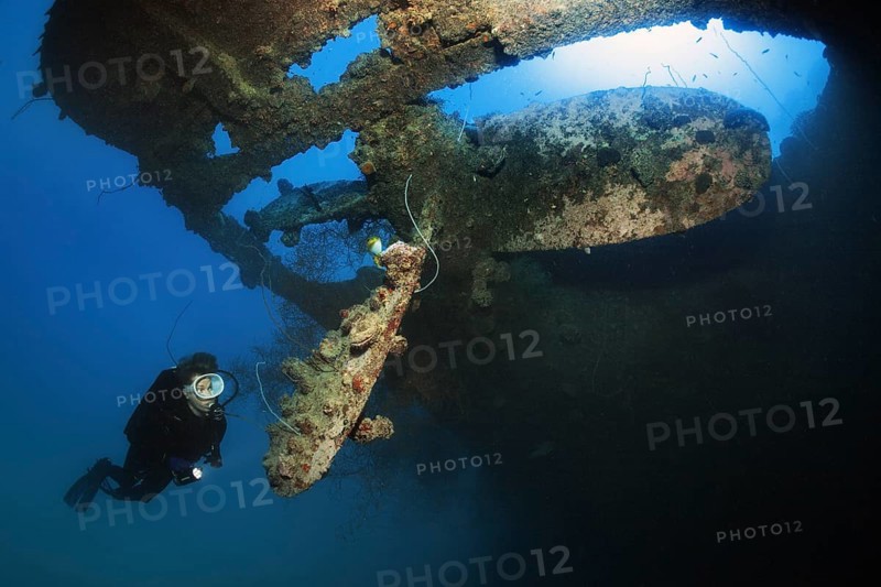 Diver looking at ship's propeller, propeller backlit by the sun, fouling with spiny oyster (Spondylus varius), British Loyalty, wreck, shipwreck, torpedoed on 09.03.1944 by U-183, heavily damaged, self-sunk on 15.01.1946, Indian Ocean, Addu Atoll also Senu Atoll, Maldives