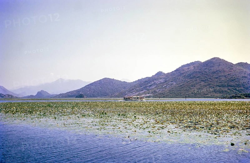 Boat trip onLake Shkodra Lake Skadar Lake Scutari, between Albania and Montenegro, former Yugoslavia, Europe 1970