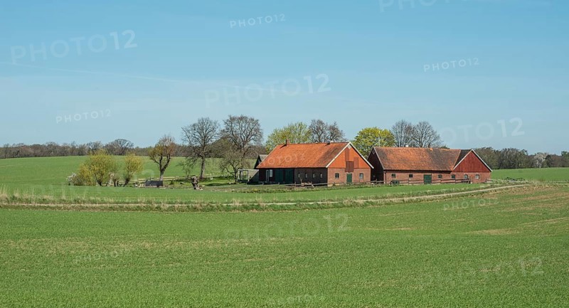 Farm at green field and blue sky in springtime in Ystad Municipality, Skåne County, Sweden, Scandinavia