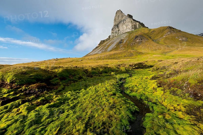 Alkhornet mountain, Trygghamna bay, Isfjorden fjord, Spitsbergen, Svalbard Islands, Svalbard and Jan Mayen, Norway