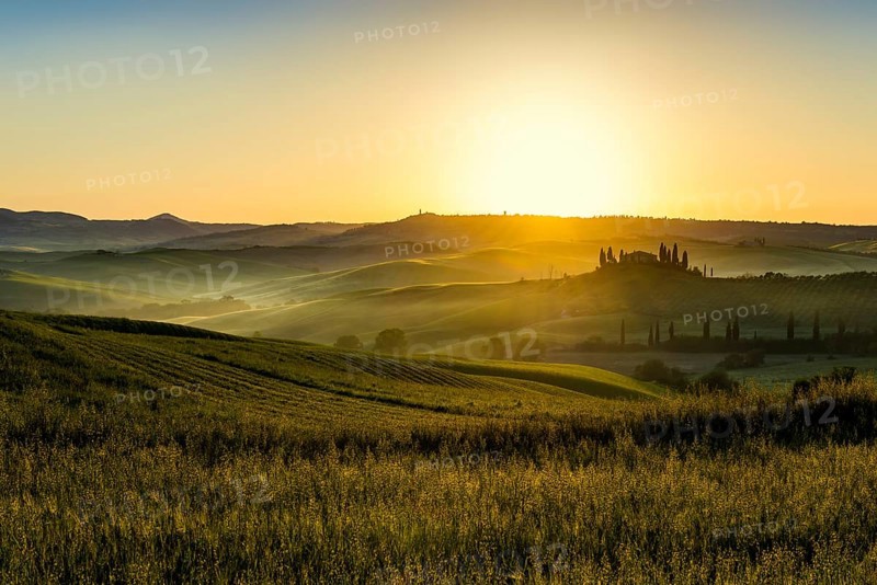Sunrise, landscape with farmhouse and cypress trees, near San Quirico d'Orcia, Val d'Orcia, Province of Siena, Tuscany, Italy