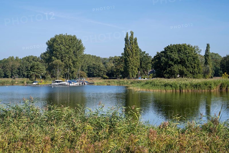 Boat harbour on the Achterwasser, Koserow, Usedom Island, Baltic Sea, Mecklenburg-Western Pomerania, Germany