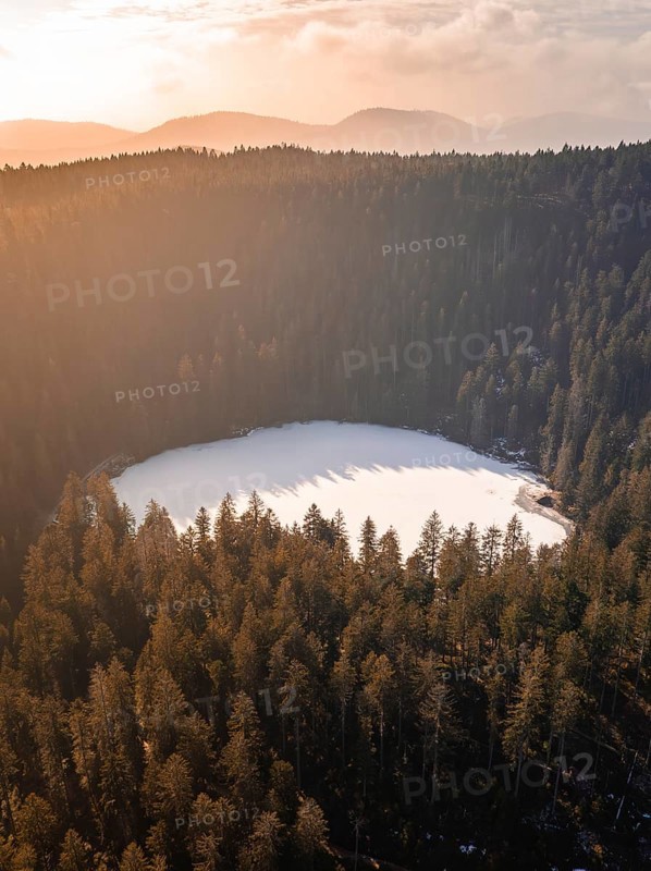 A fenced lake in golden sunlight, nestled in a dense forest, Glaswaldsee, Bad Rippoldsau-Schapbach, Black Forest, Germany