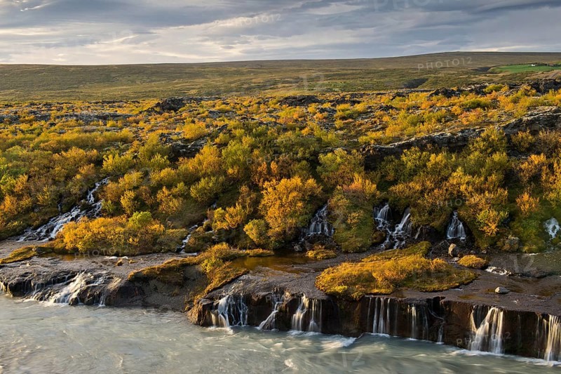 Hraunfossar, waterfalls of the Hvítá river in autumn, near Húsafell and Reykholt, Iceland
