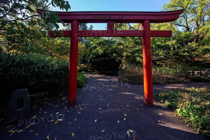Japanese Torii Gate, Japanese Garden, Zoological City Garden, Karlsruhe, Baden-Württemberg, Germany