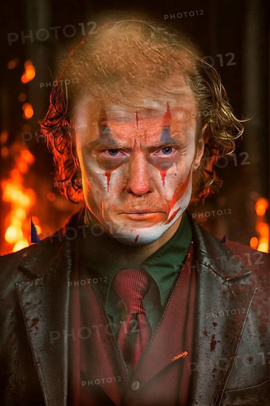 Symbolic image, Trump as joker, Gotham-USA, democracy versus autocracy, US democracy in danger, EU and Germany under political pressure, industry, Donald Trump, tariff threats, Elon Musk, Mark Zuckerberg, social networks, fake news, rights broken, hate, agitation, DSG Digital Services Act, re-election, USA, politics, announcements, vendetta, wanted dictator, Republicans, US electoral system, global danger, lies, 2nd term, global burden, Ukrainian war, storming White House