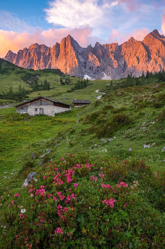 The Ladiz-Alm, the high alpine pasture of the Eng-Alm, Ladiz-Alm, Karwendel Mountains, Tyrol, Austria