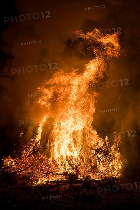 Environmental pollution, fire from discarded Christmas trees, Ostfildern-Plieningen, Baden-Württemberg, Germany