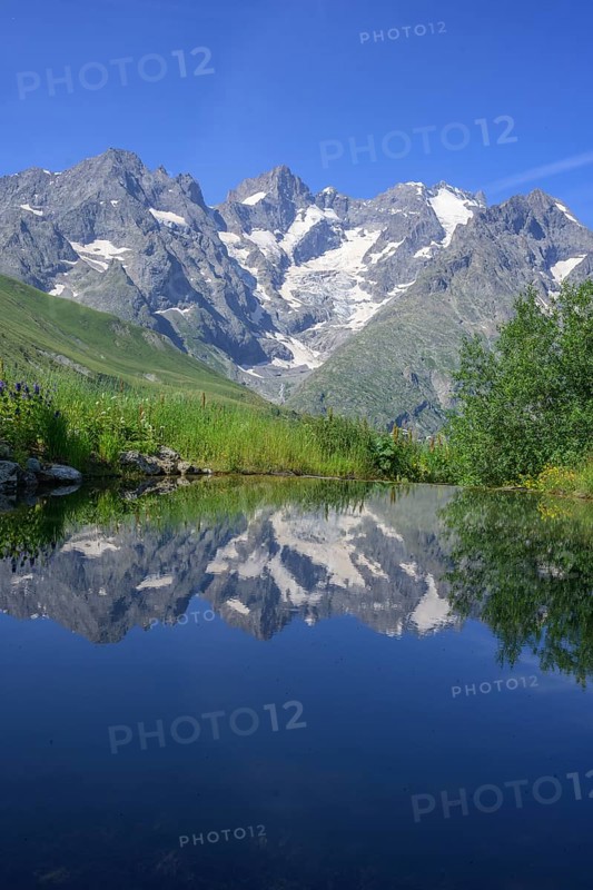 Pointe Piaget and La Meije reflected in the pond of the botanical garden Jardin du Lautaret, Villar-d'Arêne, Département Hautes-Alpes, France