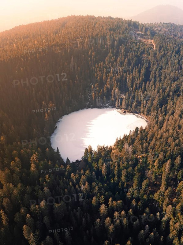 Bird's eye view of a lake surrounded by trees in a tranquil natural setting, Glaswaldsee, Bad Rippoldsau-Schapbach, Black Forest, Germany