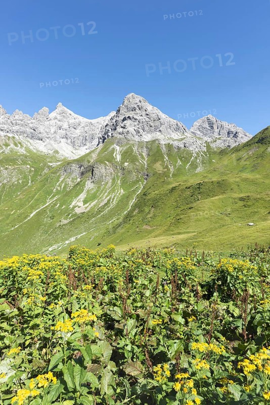 View from the Kemptner Hütte, 1844m, to the Muttlerkopf, 2368m, Allgäu Alps, Allgäu, Bavaria, Germany