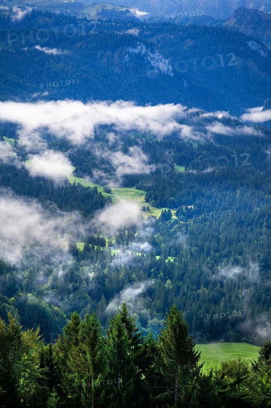 Mist in the valley, Allgäu Alps in the background, Sibratsgfäll, Austria